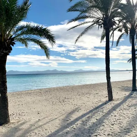 El Paraiso 公寓 *